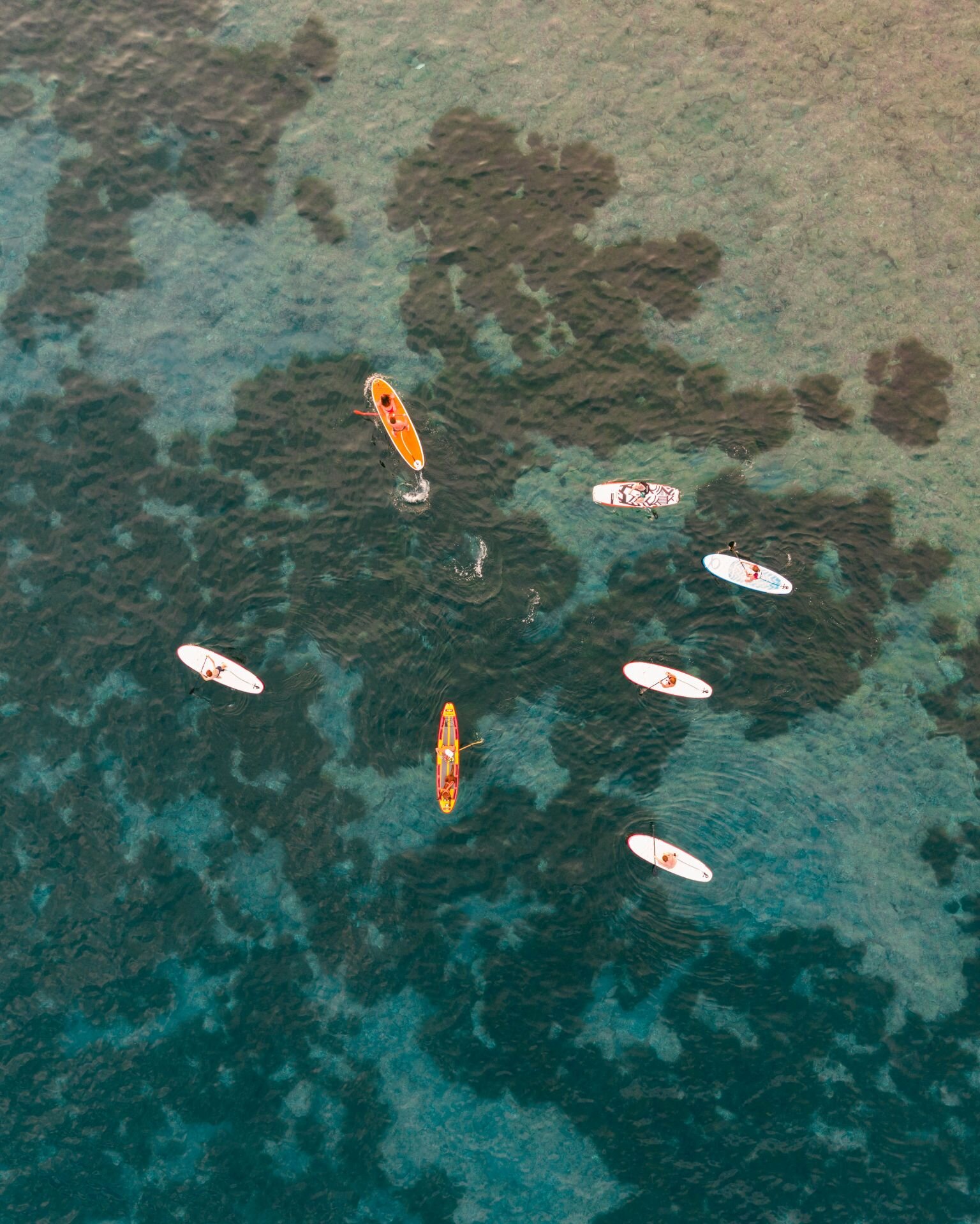 Attivita Du Canoa A Largo Della Citta Di Arenzano