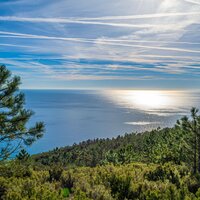 Verde E Blu Natura E Mare