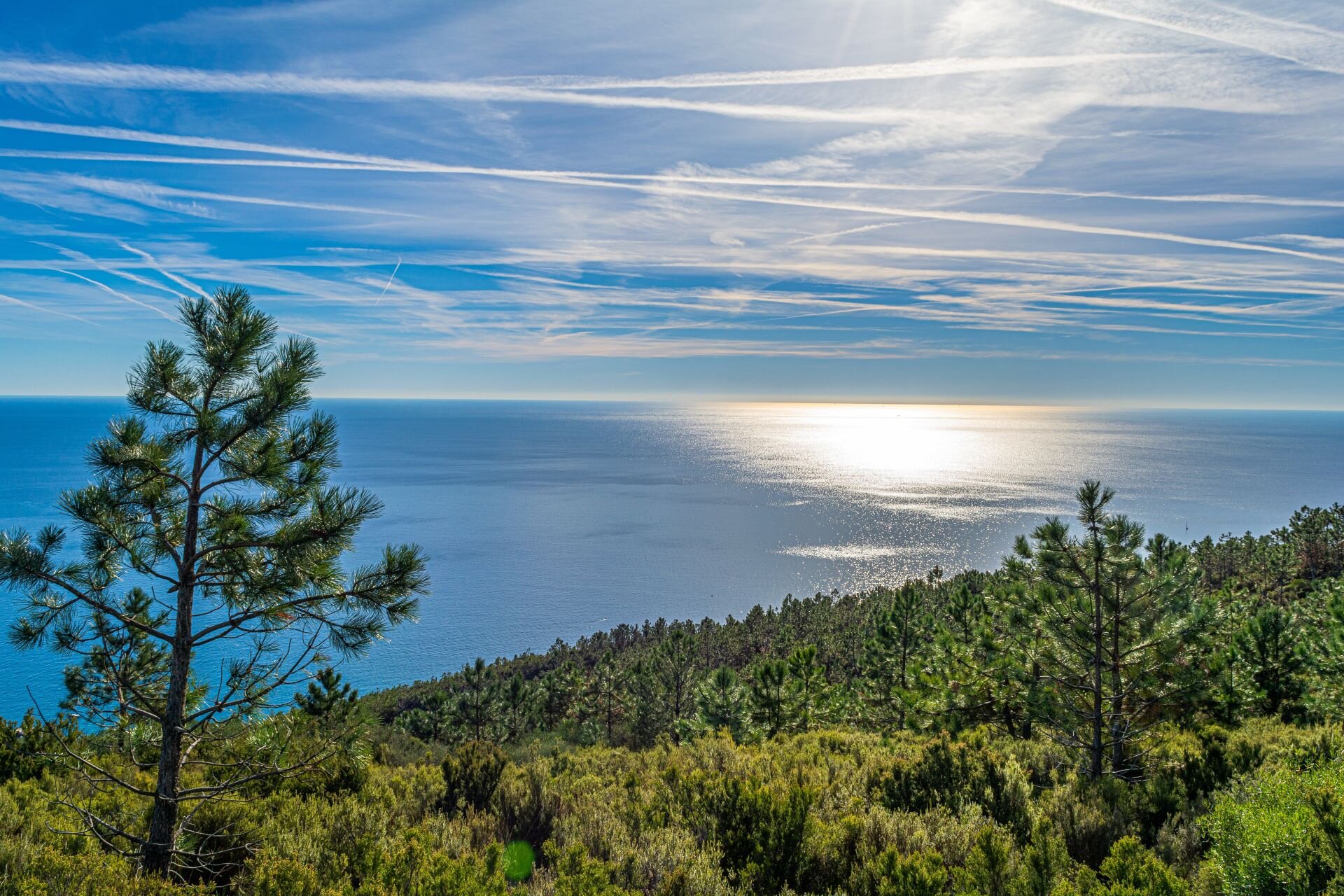 Verde E Blu Natura E Mare