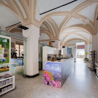 Interno Dell Ufficio Iat Sito Presso Palazzo Jacopo Da Varagine